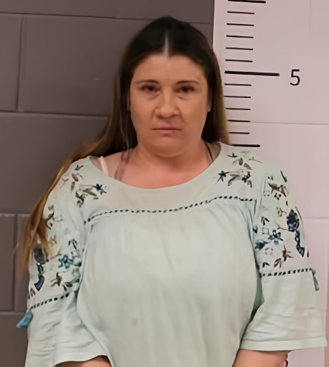 Mugshot of AMANDA TOLLISON