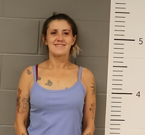 Mugshot of REBECCA TODD