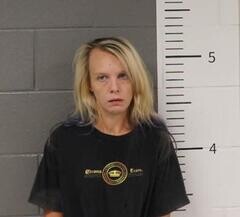 Mugshot of MEGAN ISBELL