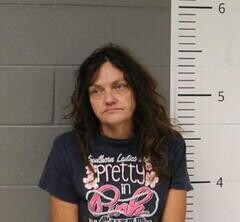 Mugshot of THRESA WELK