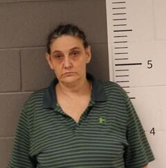 Mugshot of SHANNON DUNLAP