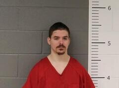 Mugshot of BRENDAN ONO