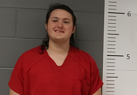 Mugshot of ROBERT NEWTON