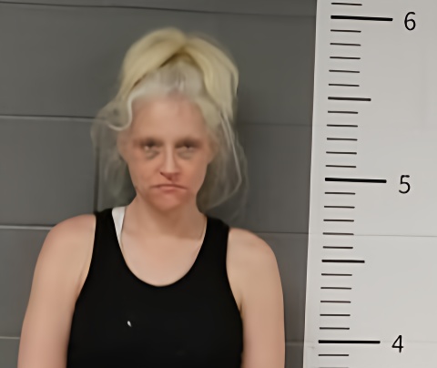 Mugshot of CHRISTIA ROUNTREE