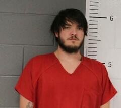 Mugshot of BRADLEE ALBRITTON