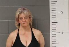Mugshot of TINA PARHAM