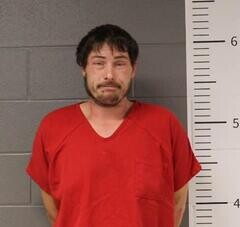 Mugshot of BILLY MCANNALLY