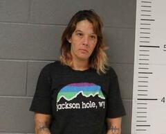 Mugshot of ASHLEY BICE