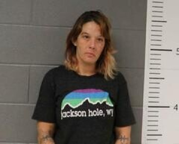 Mugshot of ASHLEY BICE