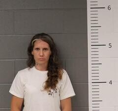 Mugshot of AMY HATHCOCK