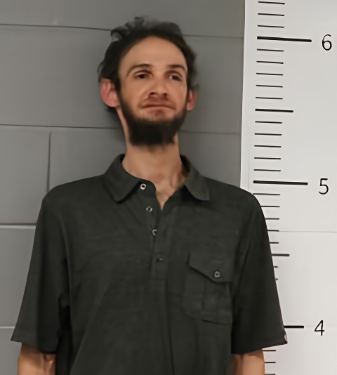 Mugshot of ROBERT MORRIS