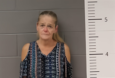 Mugshot of SHANNON DAVIS
