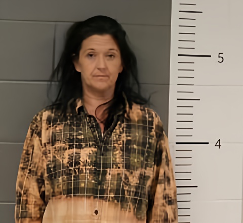 Mugshot of ASHLEY SNYDER
