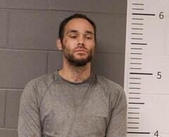 Mugshot of JAMES WILKINS