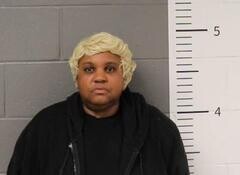 Mugshot of TARA EVANS