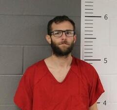 Mugshot of MICHAEL DYER