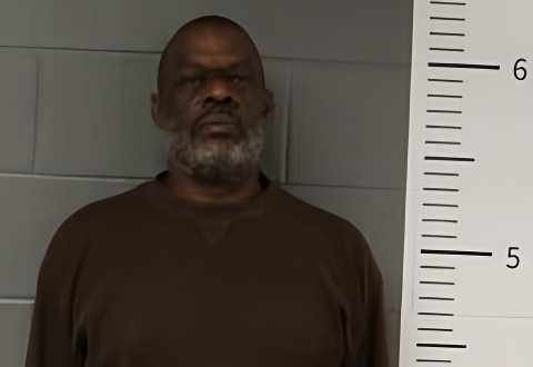 Mugshot of YULYNN WILLS
