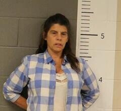 Mugshot of SUSAN WATKINS