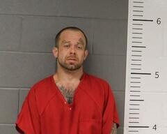 Mugshot of DAVID WATSON