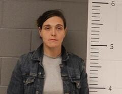 Mugshot of BRITTANY ROBINSON