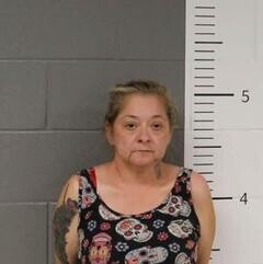 Mugshot of CARMELITA ARGUIJO