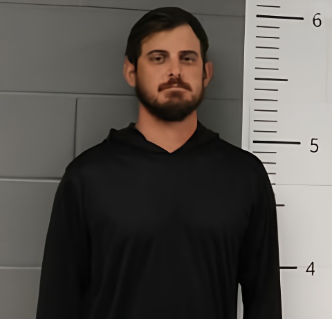 Mugshot of CHASE WHISENHUNT