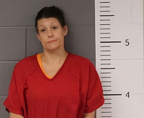 Mugshot of HEATHER MOORE