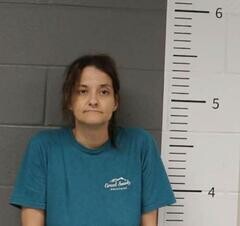 Mugshot of LACEY DANIEL