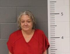 Mugshot of TONYA BELZER