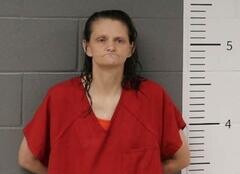 Mugshot of LYNDSEY HOLLIS