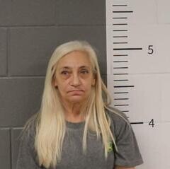 Mugshot of CONNIE TOWNLEY