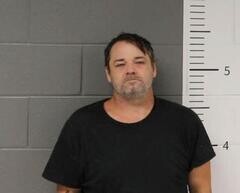 Mugshot of STEVIE WINSTEAD