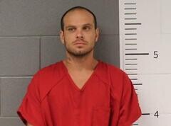 Mugshot of RONALD DAVIS