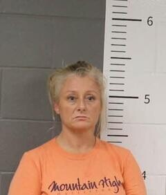 Mugshot of LIA MITCHELL