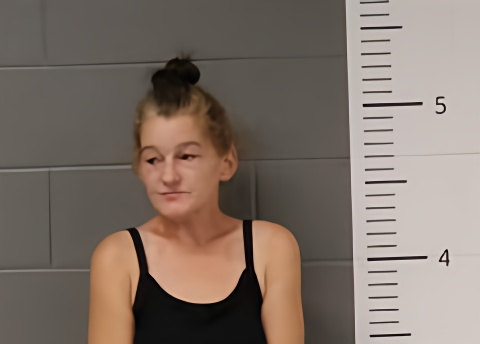 Mugshot of AMANDA BICE