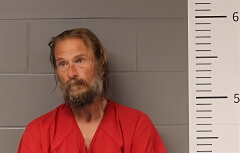 Mugshot of JASON BROWN
