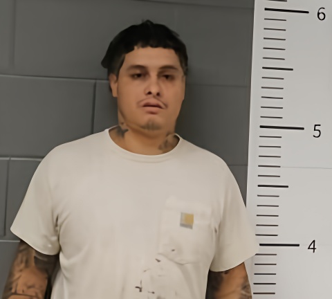 Mugshot of LEONARDO FLORES