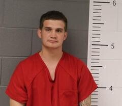 Mugshot of BRIAN PARRISH
