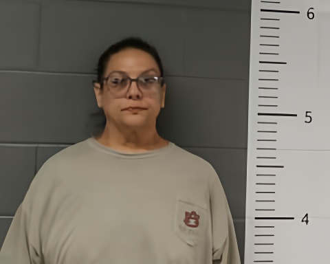 Mugshot of HEATHER WILLIAMS