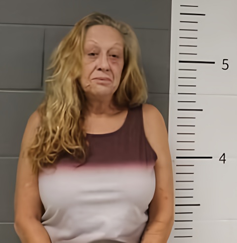 Mugshot of JENNIFER WILLIS