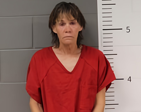 Mugshot of DONNA RICHARDSON