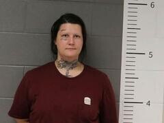 Mugshot of SKY LAIRD