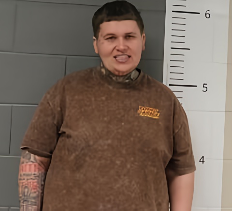 Mugshot of JIMMY SWINDALL