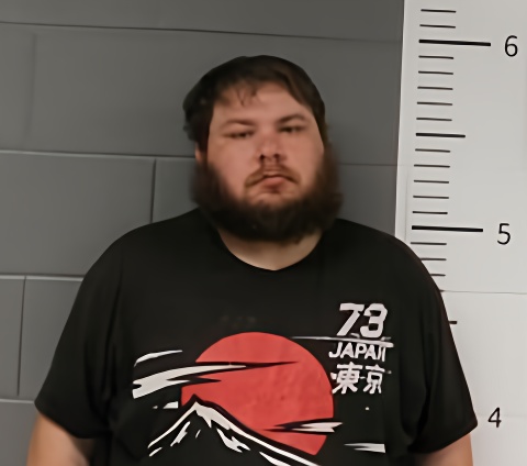 Mugshot of BRANDON MCCORMICK