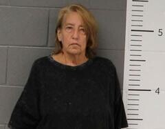 Mugshot of JULIE CAMPBELL