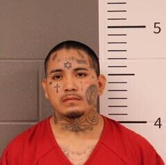 Mugshot of GREGORIO MATEO