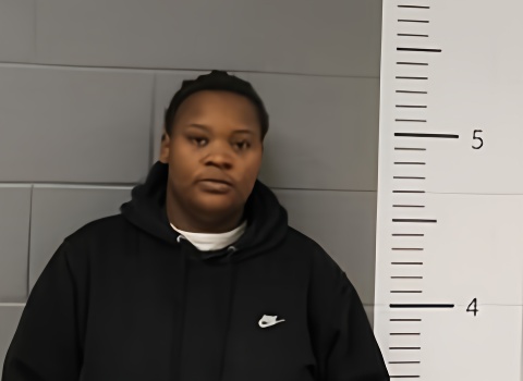 Mugshot of WAYNESHIA MCDYESS