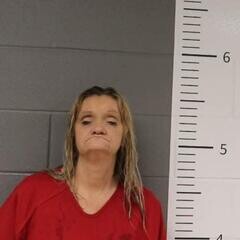 Mugshot of JEANNIE HOBSON
