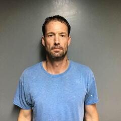 Mugshot of DAVID JAYE