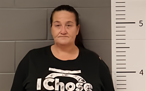 Mugshot of KARRIE BICE